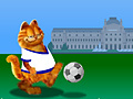 Тоглоом Garfield 2