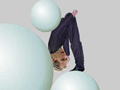 Тоглоом Ragdoll Physics 2 