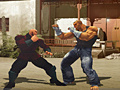 Тоглоом The Perfect Fighter