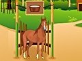 Тоглоом Horse Care Apprenticship