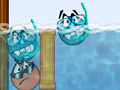Тоглоом Aqua Dudes
