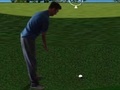 Тоглоом Flash Golf 3D