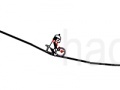Тоглоом Line Rider