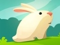 Тоглоом Greedy Rabbit