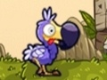 Тоглоом Save The Dodos