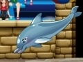 Тоглоом My dolphin show 6