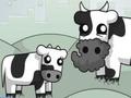 Тоглоом Cowlorful