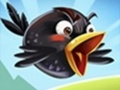 Тоглоом Crazy Birds 2