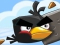 Тоглоом Crazy Birds