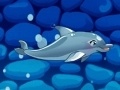 Тоглоом My Dolphin Show 5