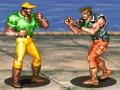 Тоглоом Hardest Fighter 2