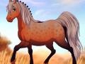 Тоглоом Fantasy Horse Maker