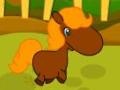 Тоглоом Pony Races