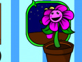 Тоглоом My pocket plant 
