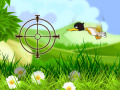 Тоглоом Duck Shooter 