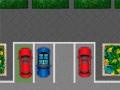 Тоглоом Parking Passion 