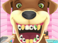 Тоглоом Animal Dentist 