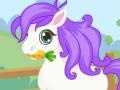 Тоглоом Cutie Pony Care