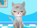 Тоглоом My Pet Spa