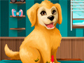 Тоглоом Become a Puppy Groomer