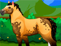 Тоглоом Pony Dress Up