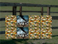 Тоглоом Horse Memo Deluxe