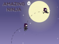 Тоглоом Amazing Ninja