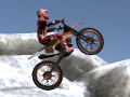 Тоглоом Moto Trials Winter II