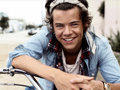 Тоглоом Harry Styles Spot the Difference
