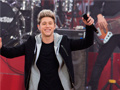 Тоглоом Niall Horan: Spot The Differences