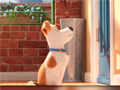 Тоглоом Hidden Letters in The Secret Life of Pets