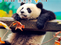 Тоглоом Animal Habitats: Find Items