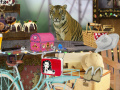 Тоглоом The amazing Animal Circus