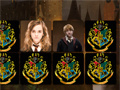 Тоглоом Harry Potter Memo Deluxe
