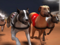 Тоглоом Greyhound Racing
