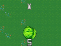 Тоглоом Cabbage Run