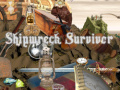 Тоглоом Shipwreck Survivor