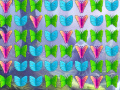 Тоглоом Butterfly Collector