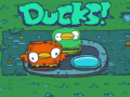 Тоглоом Ducks!