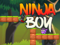 Тоглоом Ninja Boy