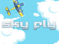 Тоглоом Sky Fly