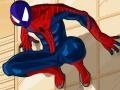 Тоглоом Spiderman Costume