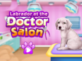 Тоглоом Labrador at the doctor salon    