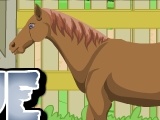 Тоглоом Escape From The Horse Stable