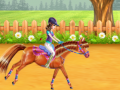 Тоглоом Horse Care and Riding
