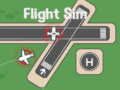 Тоглоом Flight Sim