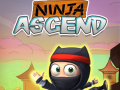Тоглоом Ninja Ascend