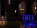 Тоглоом Castle Runner  