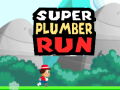Тоглоом Super Plumber Run