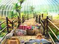 Тоглоом Tropical World
